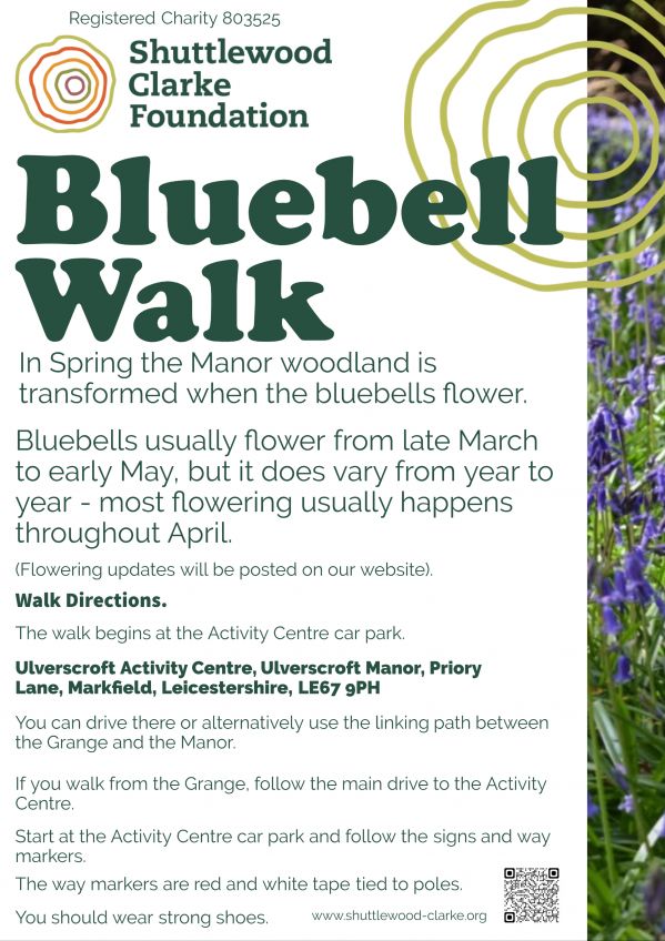 Bluebell_Walk_.jpg